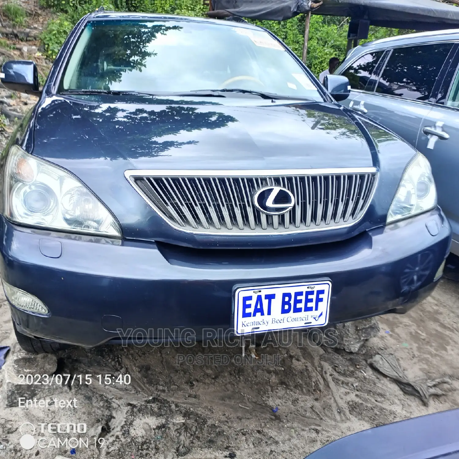 Lexus RX 2006 Gray