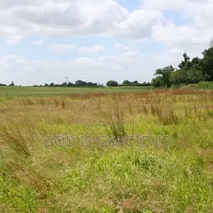 Affordable Lands in Lagos Island