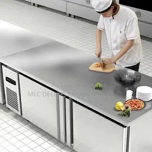 2 Doors 5ft Stainless Under Counter Refrigerator/Counter Top