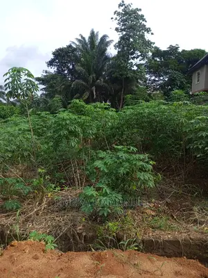 1 Plot of Land for Sale at Amawbia Kabe Area