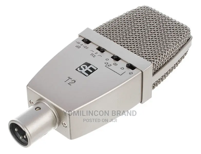 Se Electronics T2 Condenser Microphone