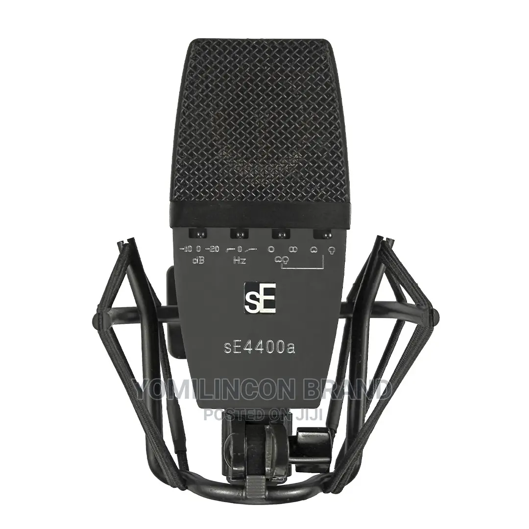 Se Electronics Se4400a Large-Diaphragm Condenser Microphone