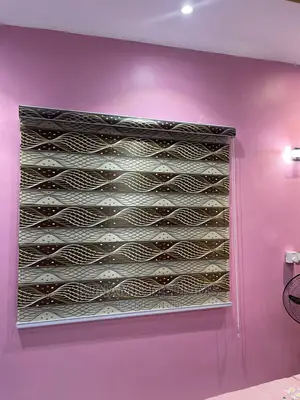 Day and Night Window Blinds.