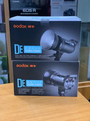 Godox DE300 Studio Flash
