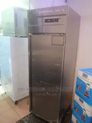 Stainless Body Singindustrial Fridge