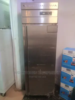 Stainless Body Singindustrial Fridge