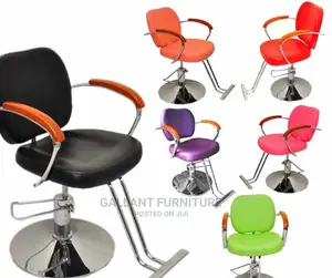 Quality Barbing Saloons Chair