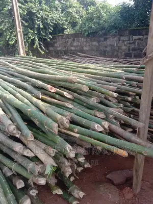 Bamboo Stick