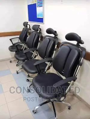 Executive Office Chair (Kidney)