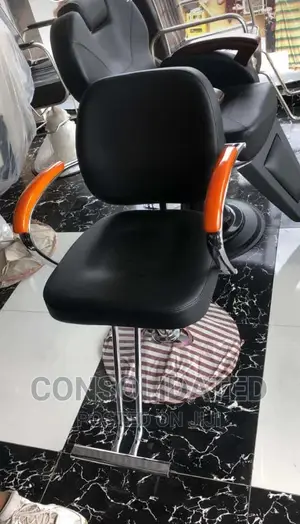 Nicely Designed Saloon Chair