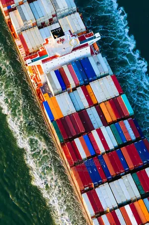 Clearing And Forwarding Services
