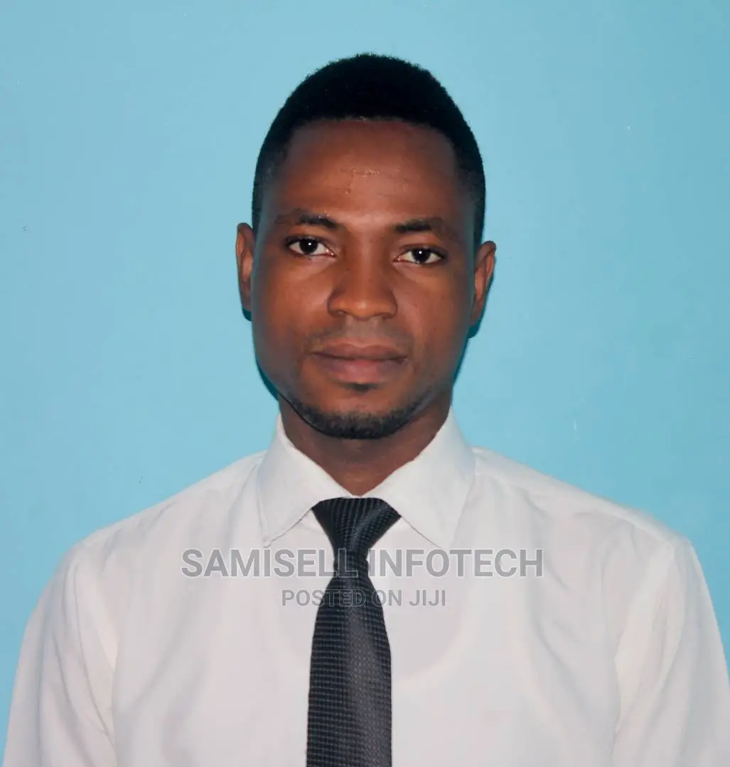 Software Developer