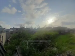 2plots With Cofo