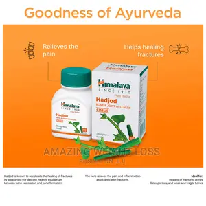 Hadjod Tablets for Bones Joint Wellness