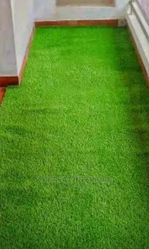 Carpet Grass