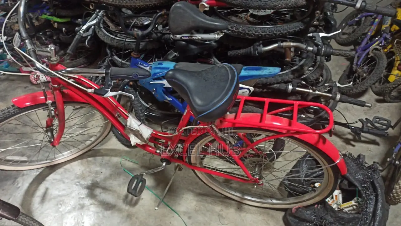 Bicycle With Carrier