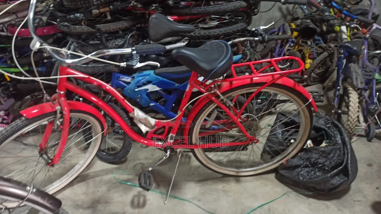 Bicycle With Carrier