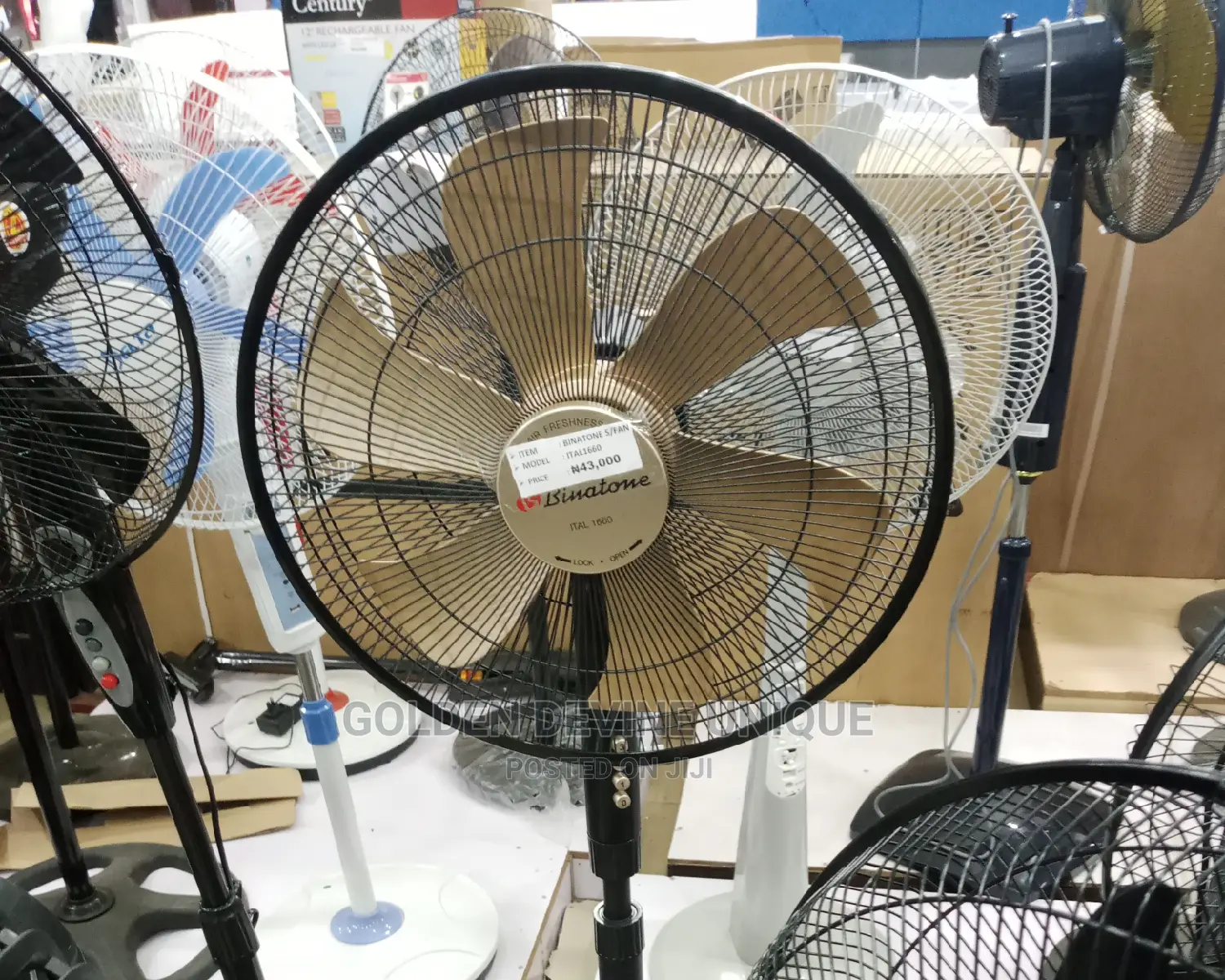Binatone Fan
