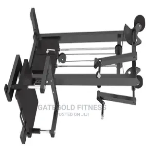 Commercial Lateral Raise
