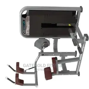 DFT1695 Commercial Abdominal Crunch Back Extension Machine