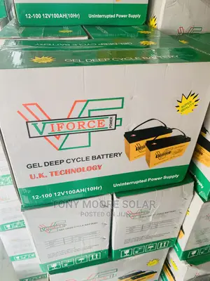 Viforce 100ah 12v Battery