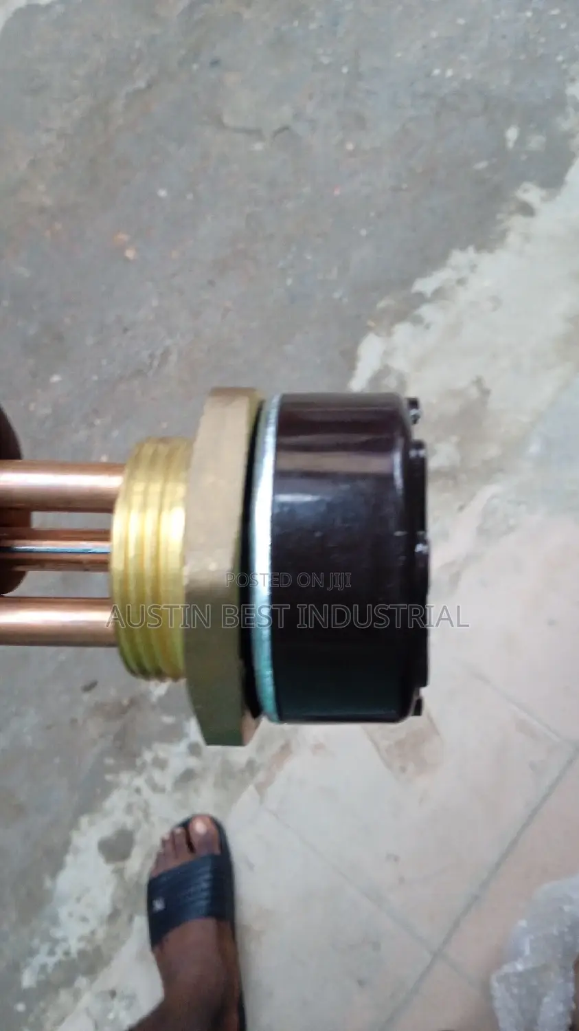 Electric Heating Element With Thermostat 220V