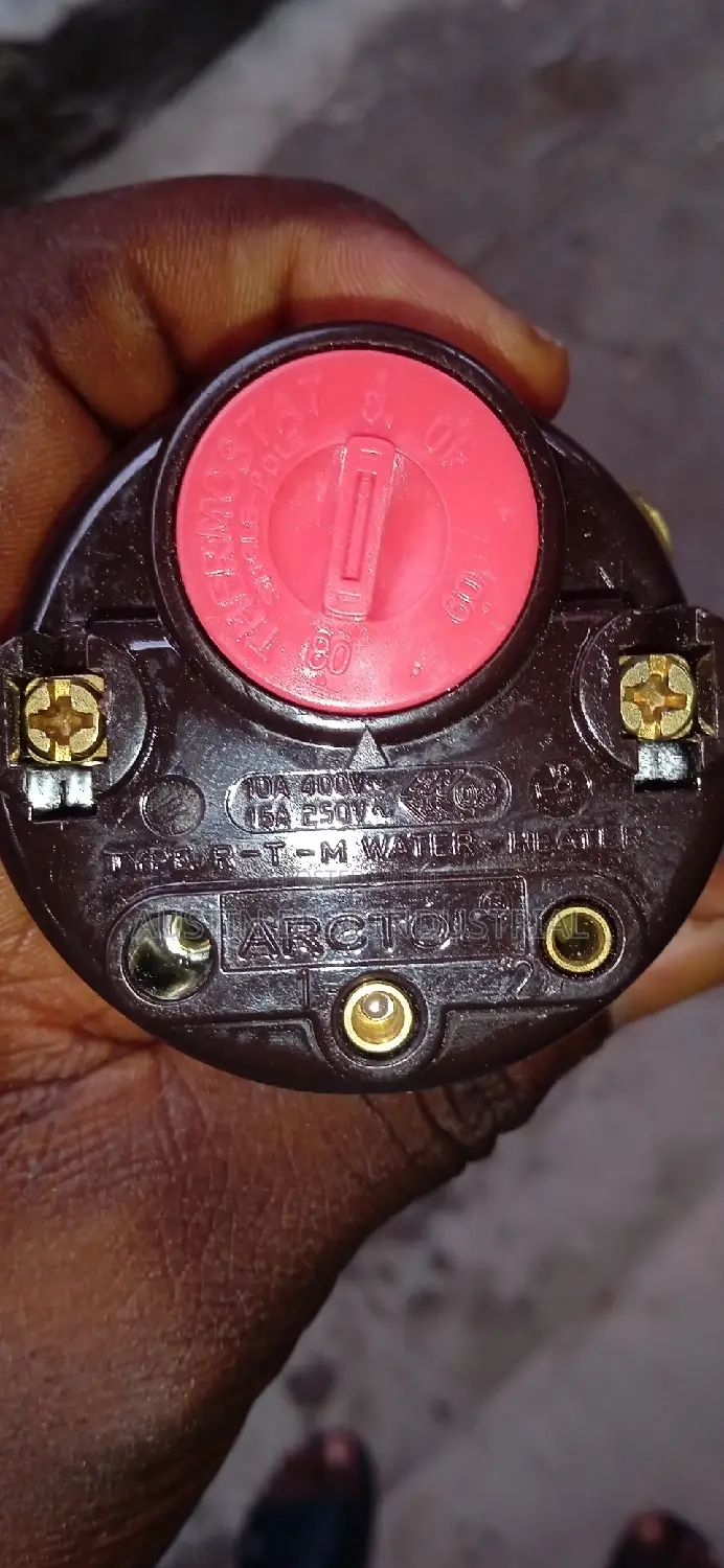 Electric Heating Element With Thermostat 220V