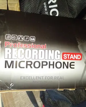 Professional Recording Stand Microphones
