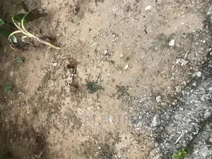 C of O Residential Land 2.3hectare Kukwaba for Sale