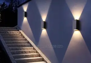 2 Way LED Indoor/Outdoor Wall Light