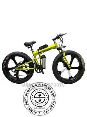 Electric Big Tire Bicycle Original