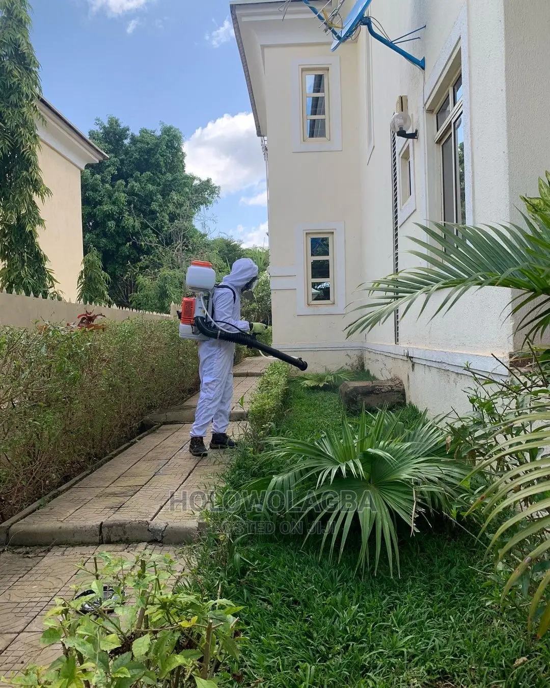 Expert Cleaning,Upholstery,Pest Control Services