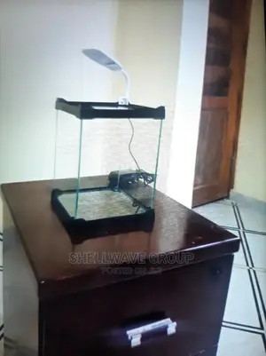 Aquarium Fish Tank