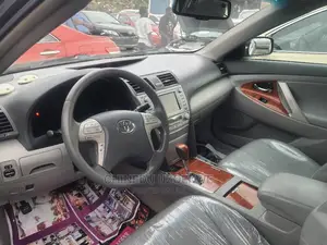Toyota Camry 2010 Gray