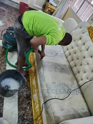 Rug, Couch _ Sofa and Carpet Cleaning
