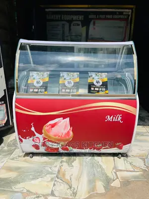 High Quality Ice Cream Display Machine 12pan