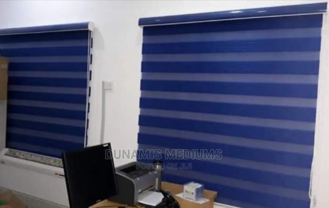 Day and Night Window Blinds