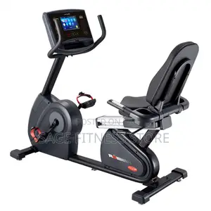 American Fitness Commercial Recumbent Bike