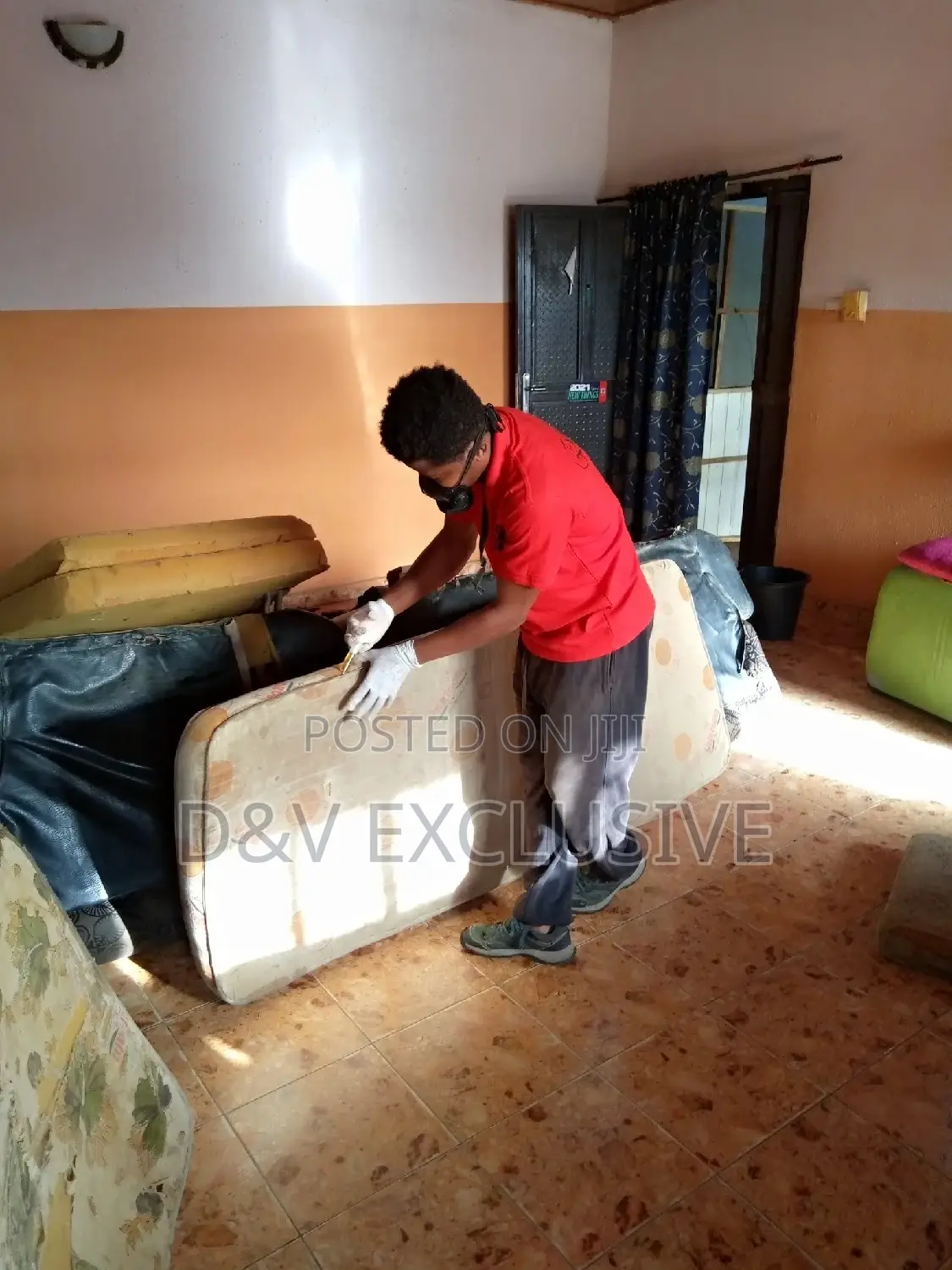 Pest Control Services