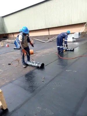 Very Professional
