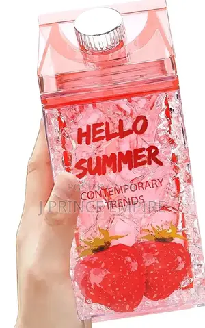 Milk Carton Water Ice Bottle
