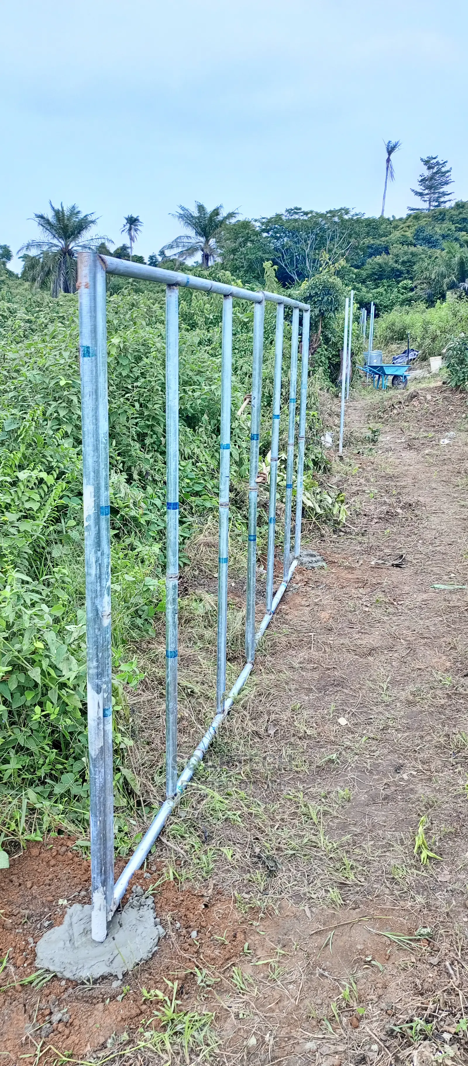 Professional Chain Link Fencing