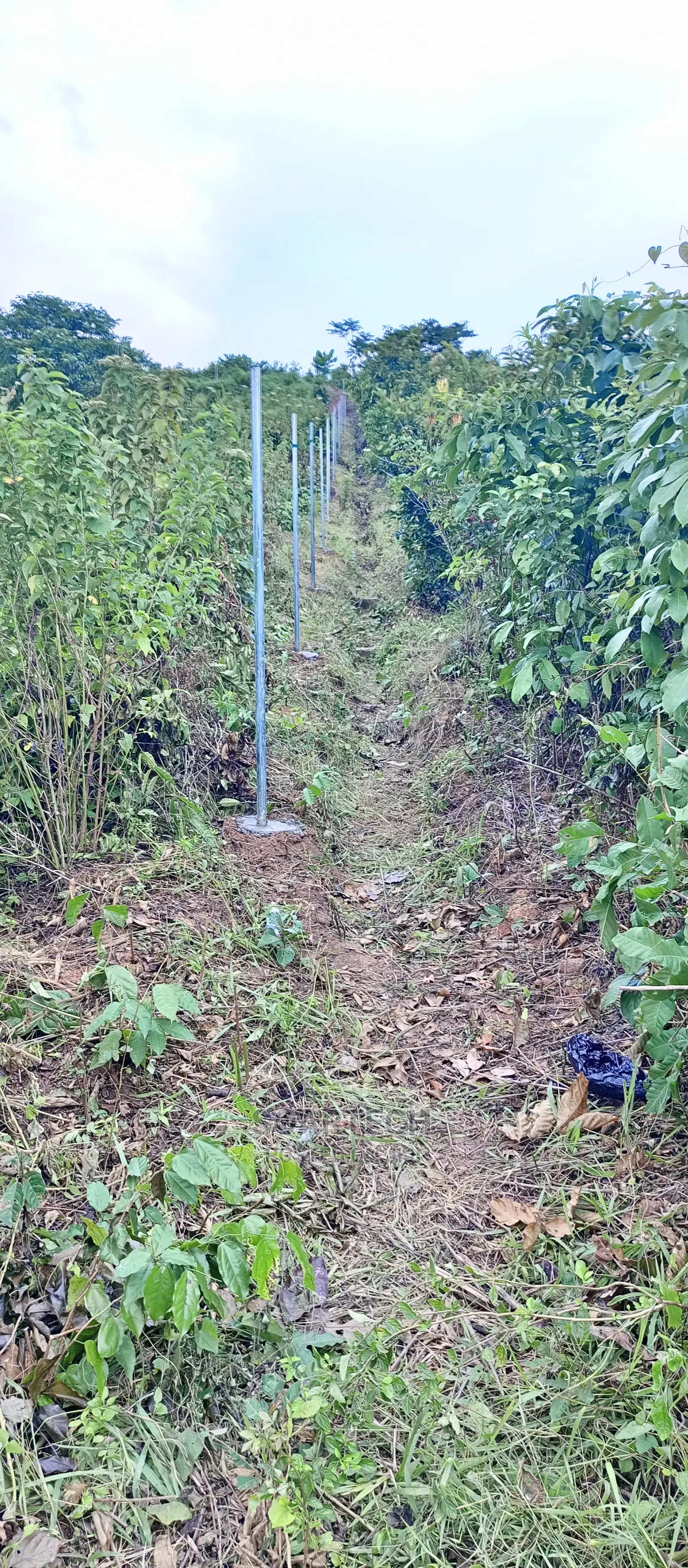 Professional Chain Link Fencing