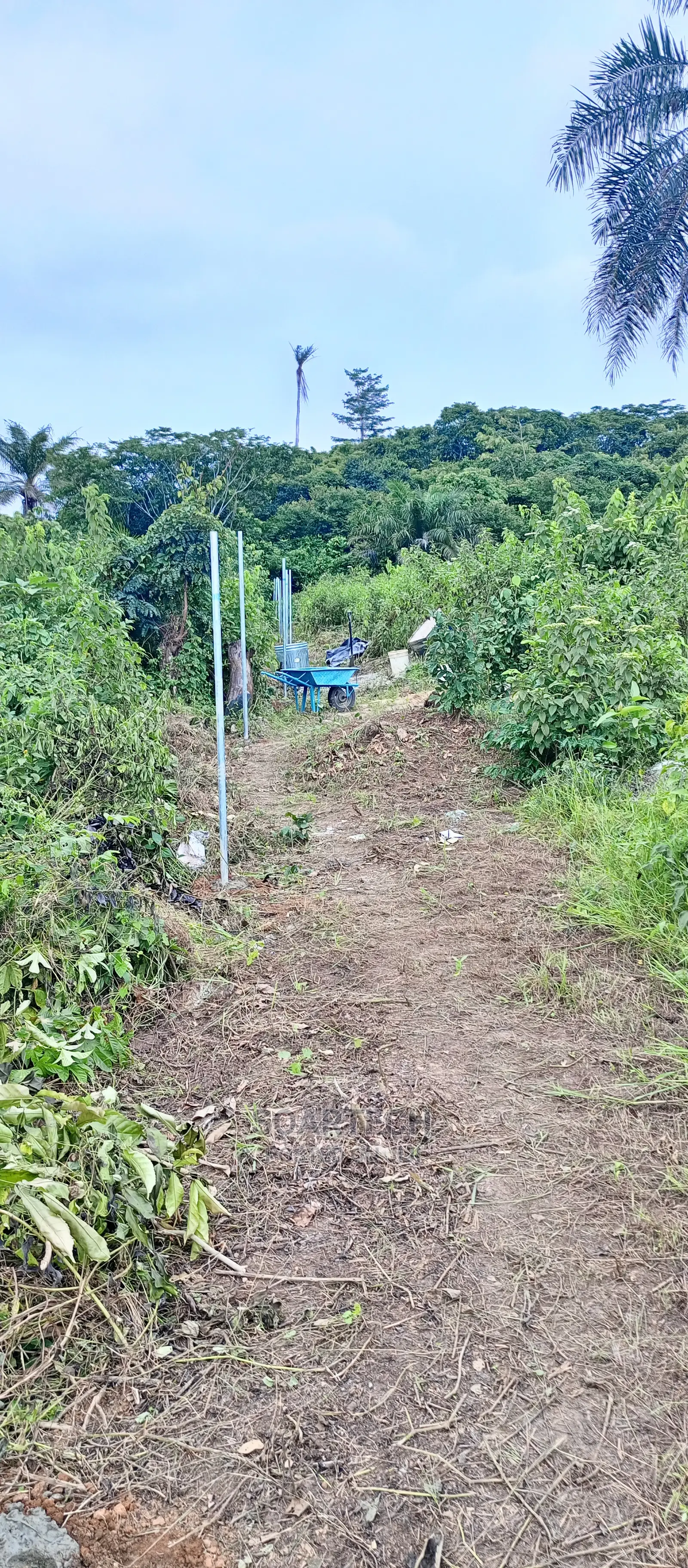 Professional Chain Link Fencing