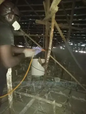 Termites Control