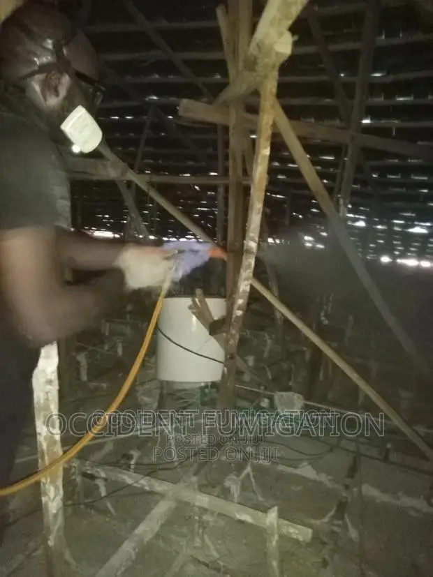 Termites Control