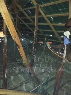 Termites Control
