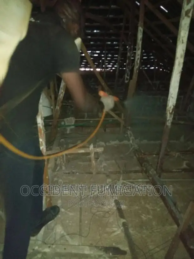 Termites Control