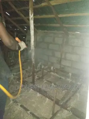 Termites Control