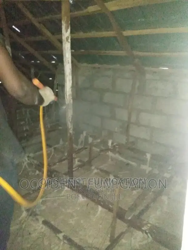 Termites Control